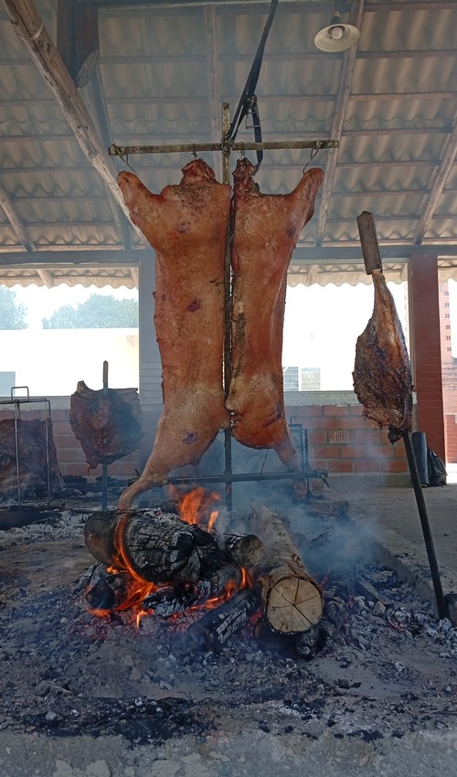Porcos assando no fogo